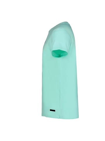 Icepeak T-Shirt Aitkin in Minze