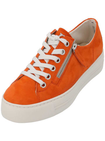 Paul Green Schnürschuhe in papaya