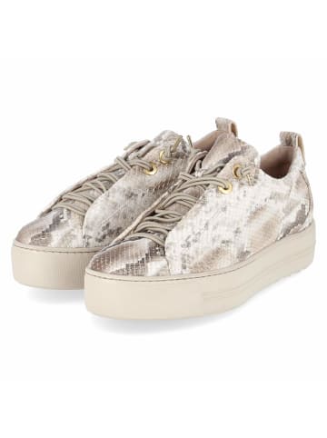 Paul Green Schnürhalbschuh in beige