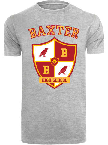 F4NT4STIC F4NT4STIC T-Shirt in heather grey