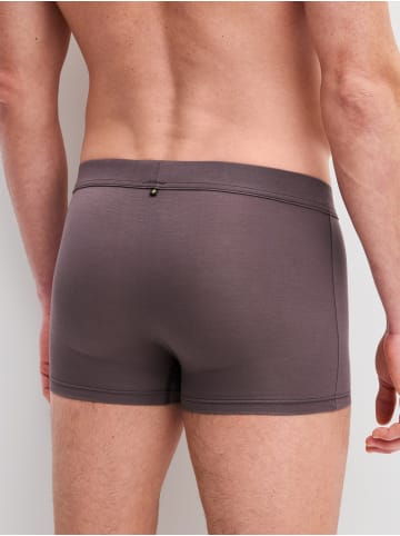 Calida New Boxer in sparrow brown