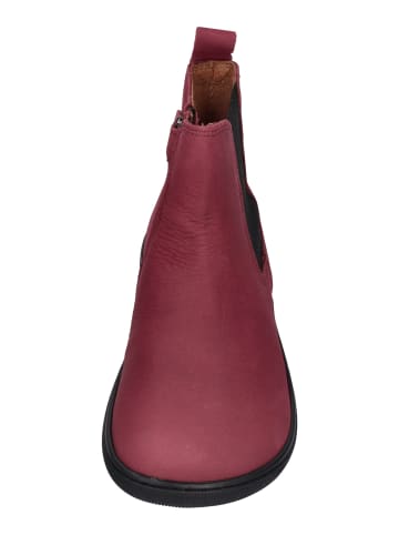KOEL Chelsea Boots FILAS HYDRO 08L009.231-260 in rot