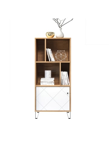 ebuy24 Regal Touch Eiche Dekor 63 x 40 cm