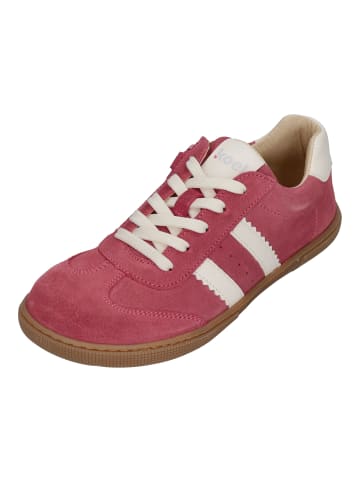KOEL Sneaker Low DECLAN SUEDE in rosa