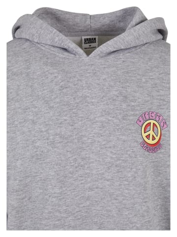Urban Classics Urban Classics Herren Big Peace Hoody in grey