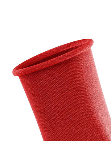 Falke Socken 2er Pack in Rot