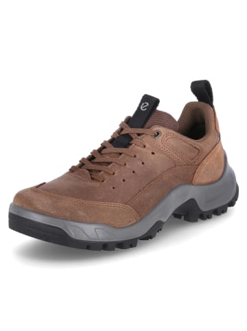 Ecco Halbschuhe OFFROAD M in Braun