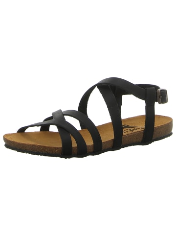 Plakton Sandalen in schwarz