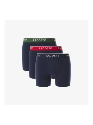 Lacoste Wäsche in Navy/Grün