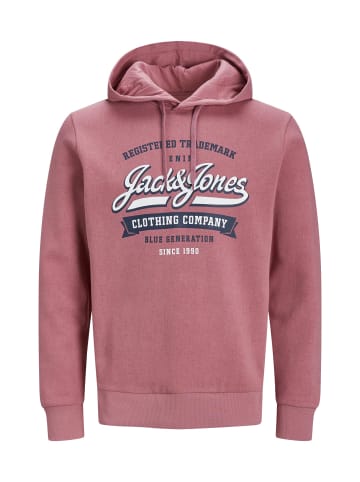 Jack & Jones Hoodie 'Logo2 Col' in rot