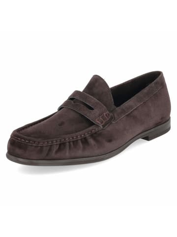 Loafer in braun