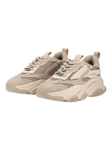 Steve Madden Sneaker POSSESSION-E Taupe