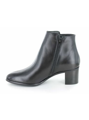 Accatino Stiefelette in schwarz