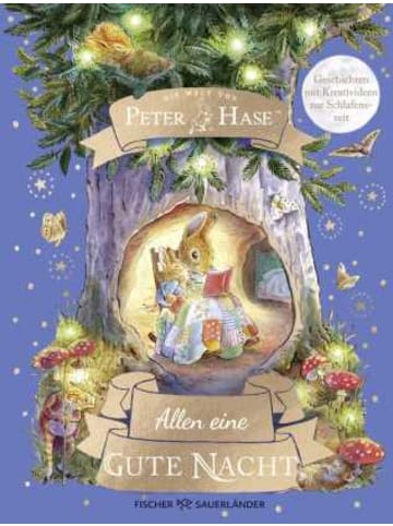 FISCHER Sauerländer Buch - Die Welt von Peter Hase Allen eine gute Nacht
