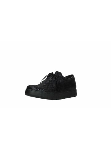 wolky Schnürschuhe in blau