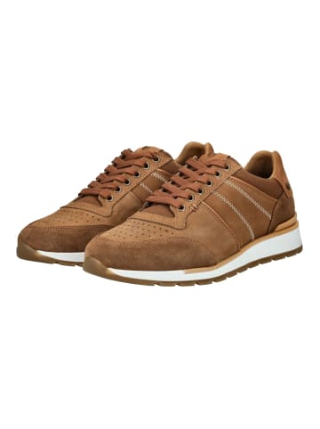 Bullboxer Sneaker in Cognac