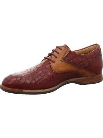 Galizio Torresi Schnürschuh in braun