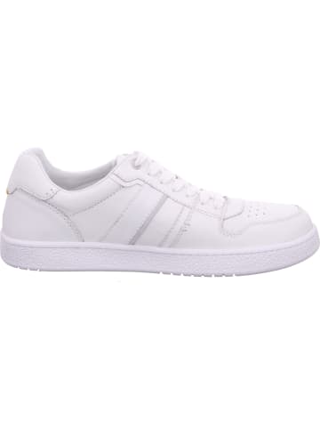 Camel Active Sneaker  in Weiß