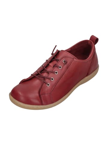 Andrea Conti Sneaker Low 0344578-024 in rot