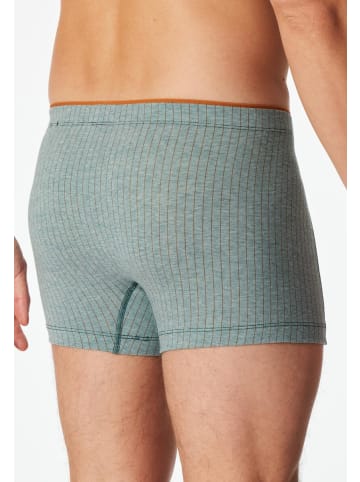 Schiesser Shorts in Grün