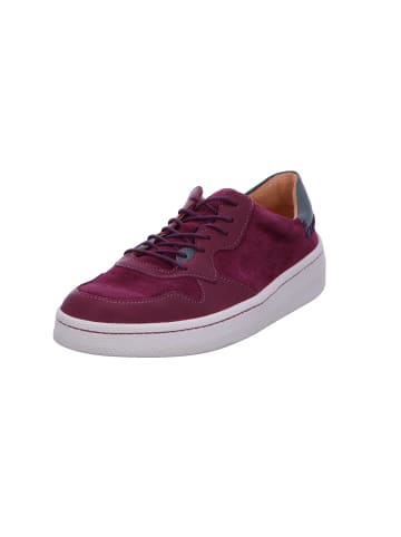 Think! Schnürschuh in weiß