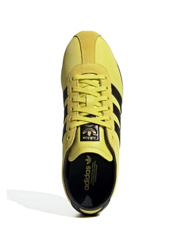 adidas adidas in pure sulfur/dark brown/gold metallic