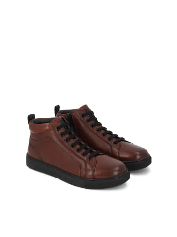 Kazar Sneaker Low in Braun