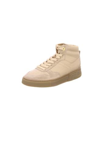 Paul Green Sneaker in creme