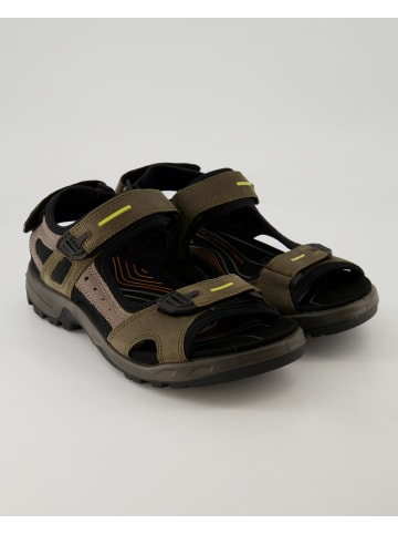 Ecco Wanderschuhe in Grün
