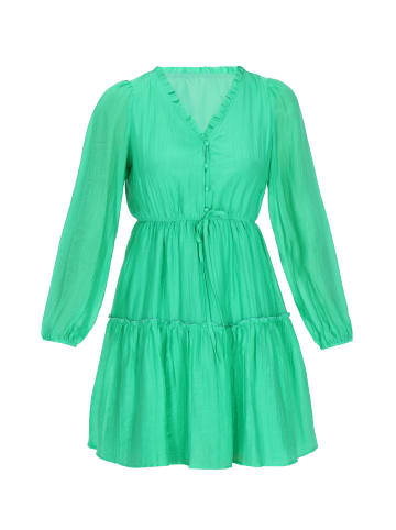 faina Women Dress in Green