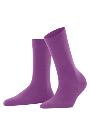 Falke Socken Softmerino in Phlox