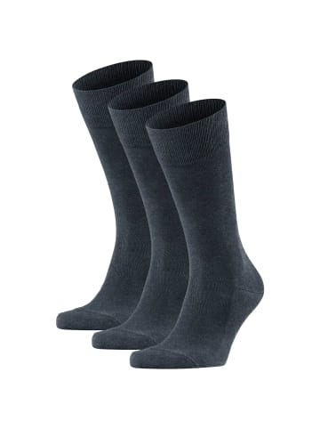 Falke Socken 3er Pack in Blau