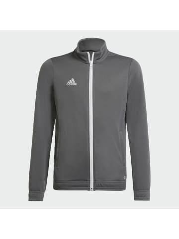 adidas Softshelljacke für Herren in uni