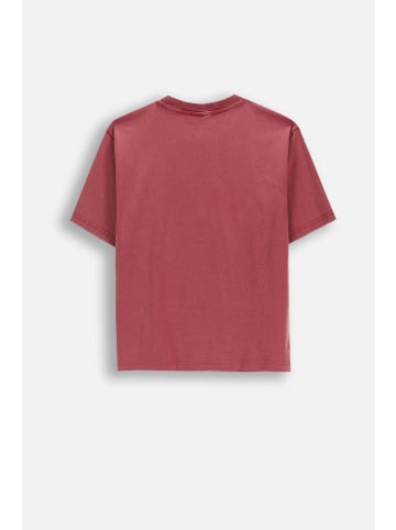 Coccodrillo Baumwoll-T-Shirt mit kurzen Ärmeln in dunkelrot