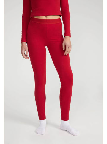 Style Republic Leggings in Wein
