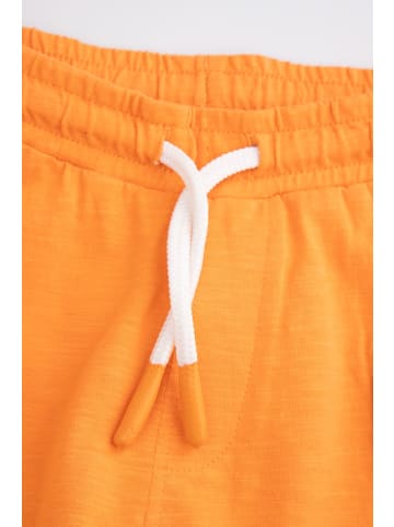 Coccodrillo Kurze Hosen in orange