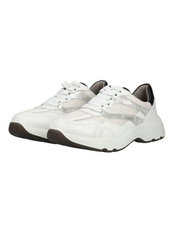 ara Sneaker in Weiß/Schwarz