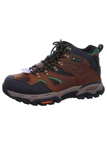Skechers Wanderstiefel Arch Fit Tarver in Braun