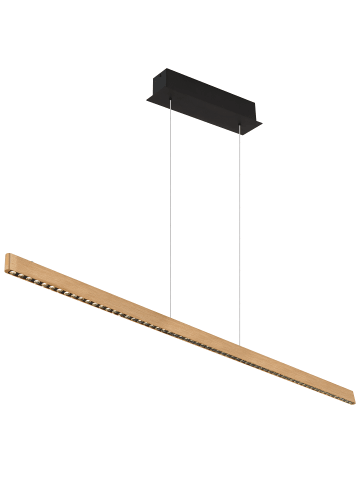 Globo lighting Hängeleuchte "DENTSY" in black
