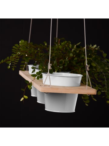 UNUS Kräuterregal, Pflanzenhalter in Natur