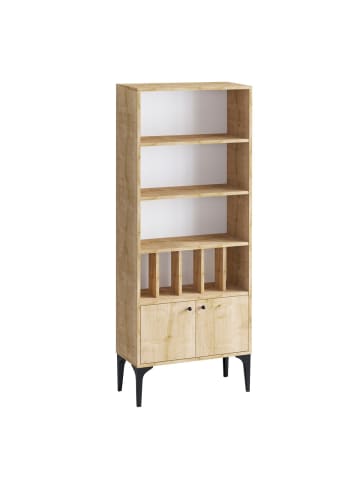 CALICOSY Regal POLLUX in Helles - (W)60 x (H)175 x (L)30 cm