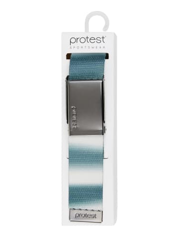 Protest " PRTMOUT in Evergreen
