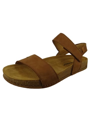 El Naturalista Sandalen Balance braun