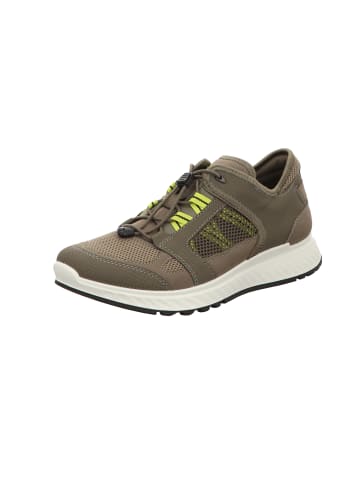 Ecco Schnürschuh in grau