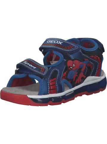 Geox Sandalen in ROYAL/LIME