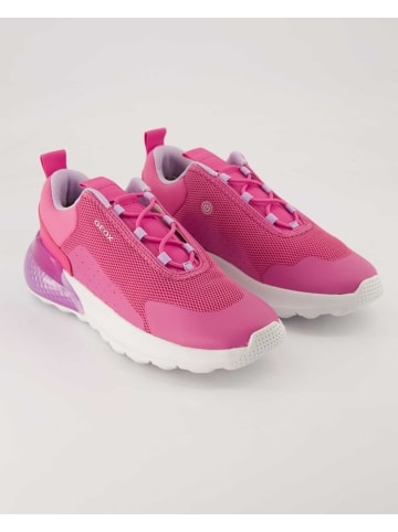 Geox Sportschuhe in Rosa