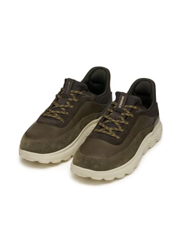 Geox Sneakers Low U Spherica Plus A in grün