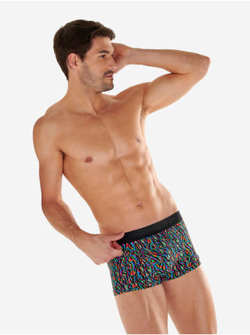 HOM Trunk Floyd in multico print