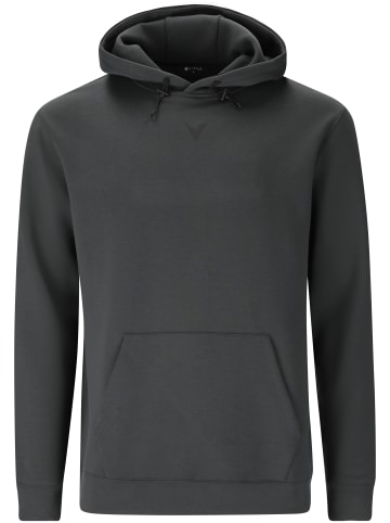 Virtus Sweatshirt Taro in 1208 Woodland Gray