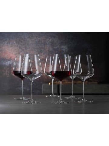 Spiegelau 2er Set Bordeauxgläser + Poliertuch Definition 750 ml transparent in transparent